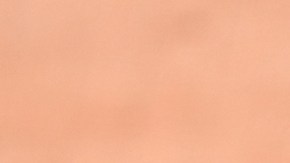 Vladimir Guerrero Jr