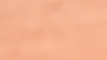 Vladimir Guerrero Jr