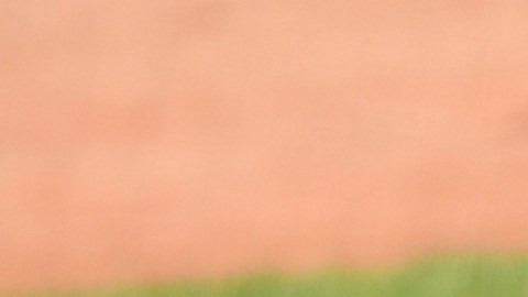Vladimir Guerrero Jr