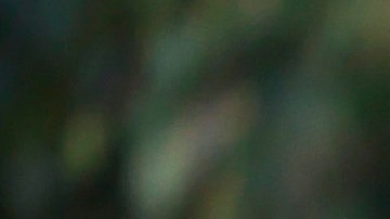 Wells Fargo estafó a 771 empresas mintiendo sobre tipos de cambio