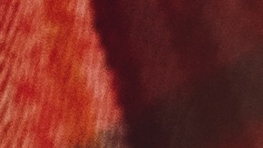 Abuelo dibujos nietas viral