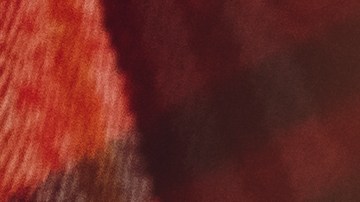 Abuelo dibujos nietas viral