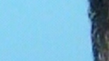 Acusado Minnesota asesinato