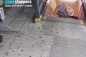 Anarquía total: con video buscan a vándalos que  lanzaron una Citi Bike a los rieles del Metro de Nueva York