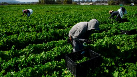 Los gobiernos no pueden descuidar el agro.