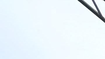 Escape anciana exnazi juicio