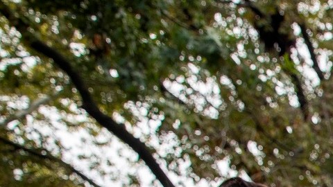 Miles de inmigrantes presionaron en Washington, D.C., a congresistas por una reforma migratoria.