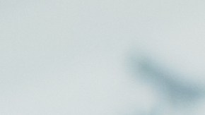 Finge muerte seguro cobro hijo