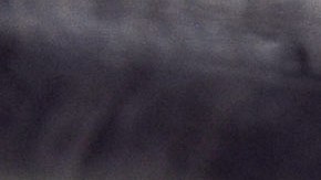 Gemelos mueren tras pasar más de 9 horas en un auto