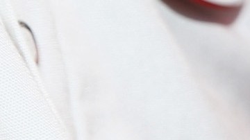 No le debes dar en exceso este alimento a tu animalito, ya que tiene un alto contenido de grasa.