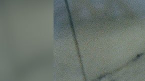 Yolanda Fernández de Cofiño nació a en Chile en 1934, pero ella y su familia se mudaron a Guatemala en 1956 cuando su padre se convirtió en embajador del país.