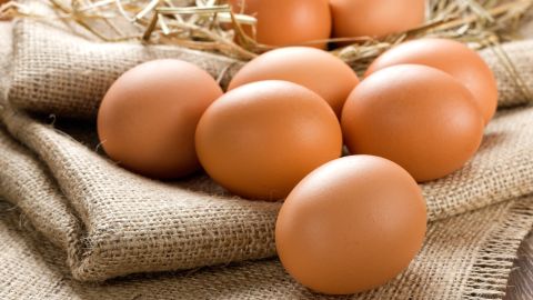 Huevos científicos