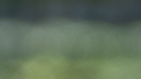 Conmueve niño que vive al lado de la tumba de su madre