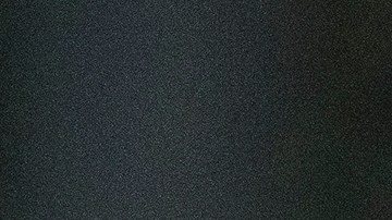 Pelea leopardo puercoespín viral