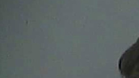 Menor mata madre en Tennessee