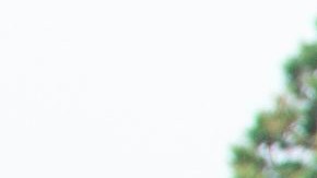 Prácticamente todo el correo y la paquetería se detienen el Labor Day.