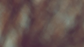 Cada persona debe decidir si necesita o no atención con un profesional, un terapeuta. Y si cree que la necesita, no debería dudar ni por un instante en pedirla.