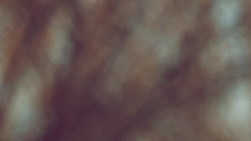 Cada persona debe decidir si necesita o no atención con un profesional, un terapeuta. Y si cree que la necesita, no debería dudar ni por un instante en pedirla.