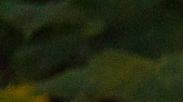 Sonata Mozart epilepsia