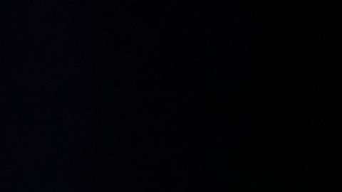 elon-musk-tesla-accidente