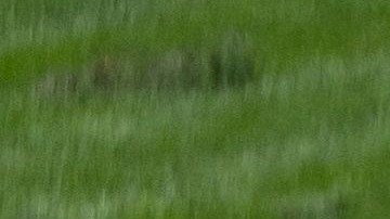 Según la patente, los rayos láser actuarían como un aparato de limpieza para un vehículo.