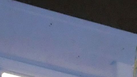 Las tiendas de conveniencia estarán abiertas en su mayoría.