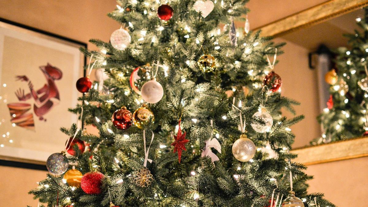 Navidad 2021: precios de pinos y decoraciones de fiesta se disparan en  Estados Unidos - El Diario NY