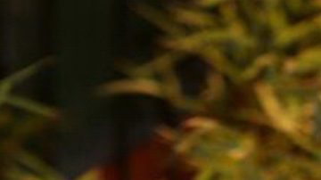 Fiscalía del Edomex llamó a declarar a policía que presuntamente robó cadena de Octavio Ocaña.