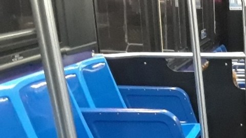 Adolescente de 14 años fue baleado en la cabeza al bajar de bus MTA en Harlem, Nueva York