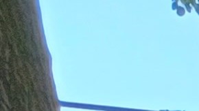 Hasta ahora las presiones de los inquilinos no ha sido suficiente para que se avancen en legislaciones que frenen los aumentos desmesurados de los alquileres. (Foto: F. Martínez)