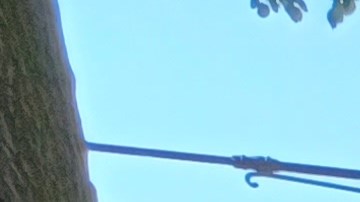 Hasta ahora las presiones de los inquilinos no ha sido suficiente para que se avancen en legislaciones que frenen los aumentos desmesurados de los alquileres. (Foto: F. Martínez)