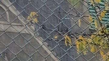 Expectativas sobre el impacto en servicios vitales como la seguridad, emergencias y recolección de basura.