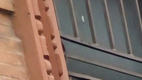 Entre los planes de la alcaldía se busca que los negocios utlicen menos fundas de basura para los desechos.