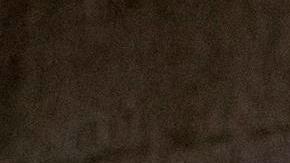 Joe Biden habla sobre el COVID-19