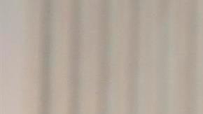 Joe Biden al Congreso estadounidense