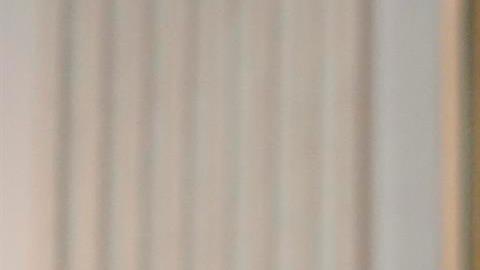 Joe Biden al Congreso estadounidense