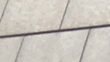 Exigen igualdad en salario mínimo para trabajadores de propinas con protesta en The Capital Grille