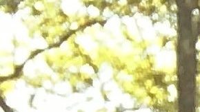 Decenas de manifestantes, como Angel Tueros, bloquearon la víá frente a la Alcaldía y la Asamblea para exigir soluciones a crisis en Rikers Island