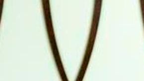 Mako y su esposo Kei Komuro al anunciar su enlace en Tokio, el martes 26.