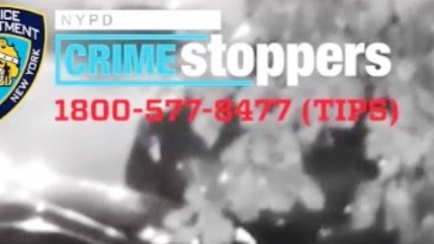 Violento robo en El Bronx.