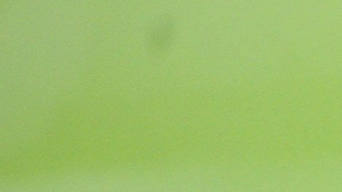 FIFA debe pagar millonaria demanda a creadores del spray 9.15