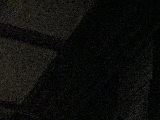 Posters de King Kong en el área que da paso a las salas de cine.