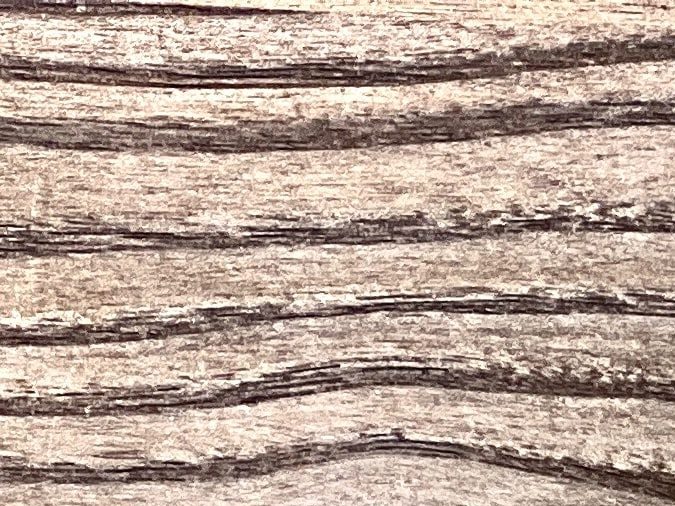 Alimentos ricos en probióticos