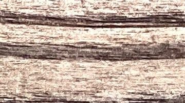 Alimentos ricos en probióticos