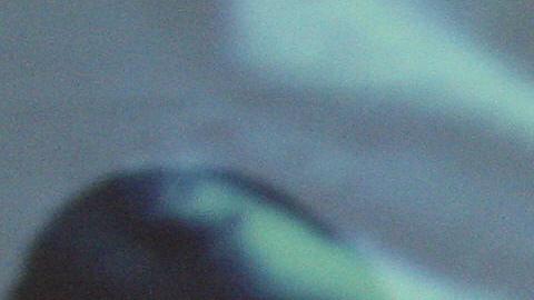 Expresidente de la Fepafut es llevado a juicio