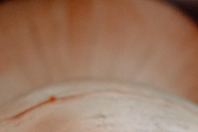 Brote de salmonella cebollas