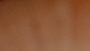 Brote de salmonella cebollas