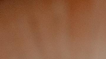 Brote de salmonella cebollas