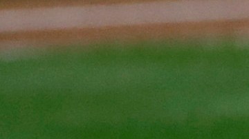 Cerveceros caen ante Bravos