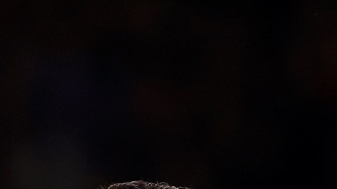 CR7 viene de marcar un gol clave contra Atalanta en Champions League.